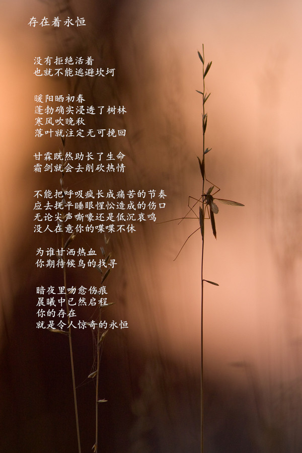 55555_副本.jpg
