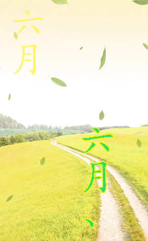 /