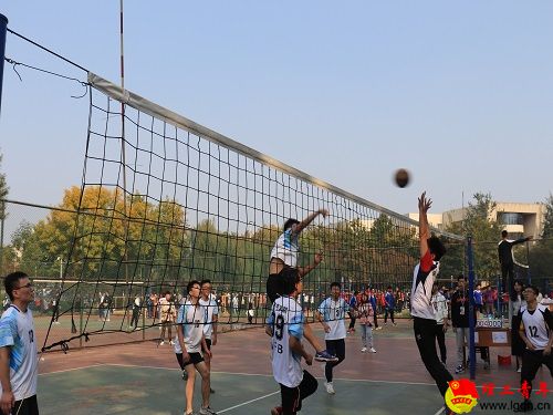 6cbf647405d7fb7f.jpg